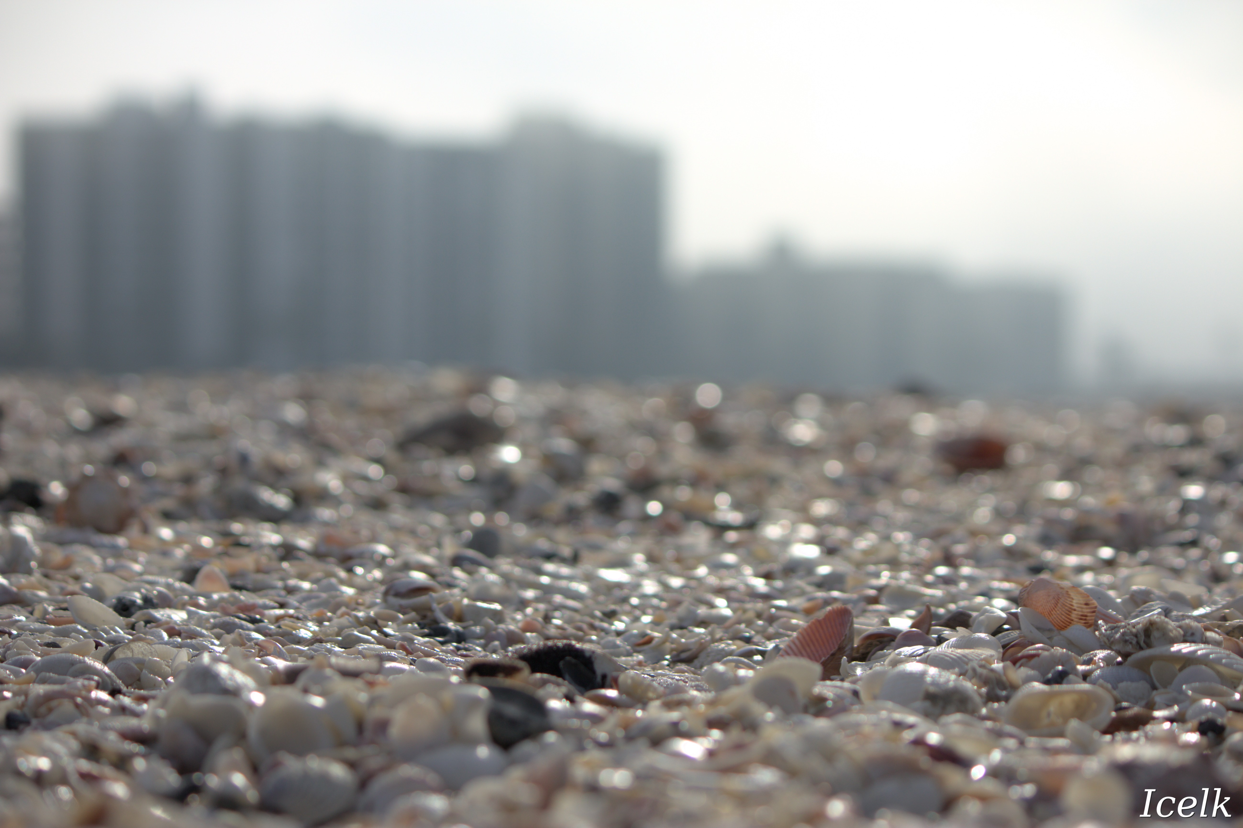 colourful shells with tall resorts in the blurry background